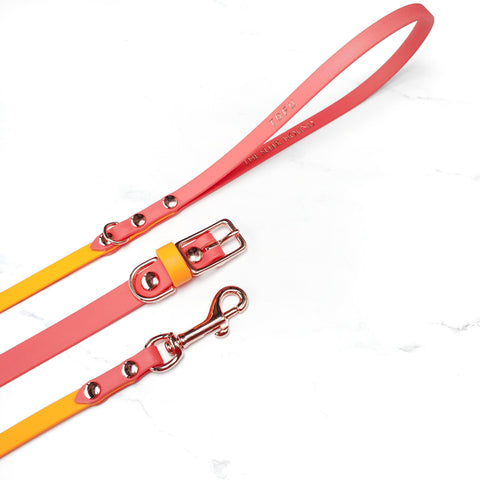 Skinny Classic Leash